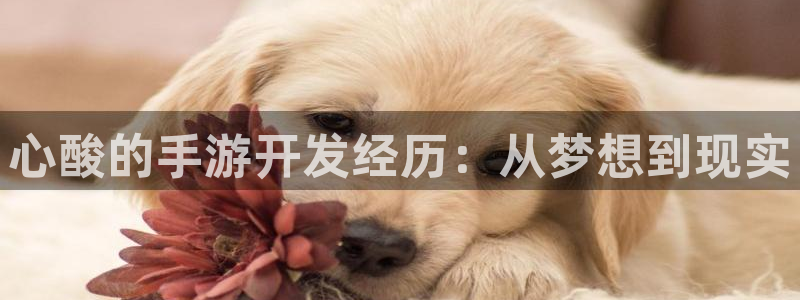 28大神怎么不能用了：心酸的手游开发经历：从梦想到现实