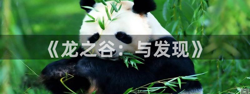 大神网pc28：《龙之谷：与发现》